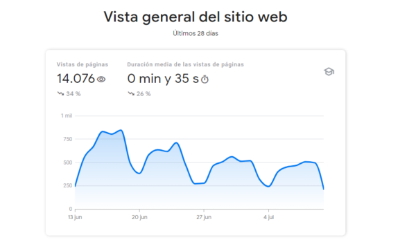 vista general google console insights